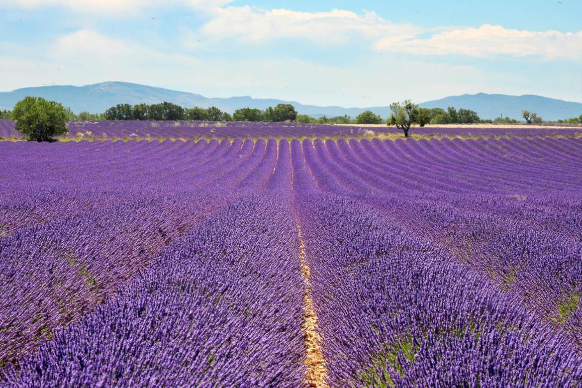 Roulotte Bohemian Lover In Provence, Valensole Bagian luar foto